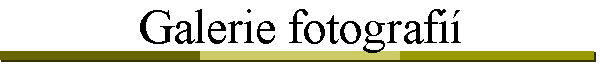 Galerie fotografi�